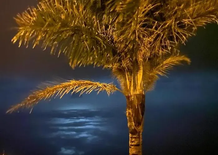 The Sea View In Madeira - Casa Farol וילה